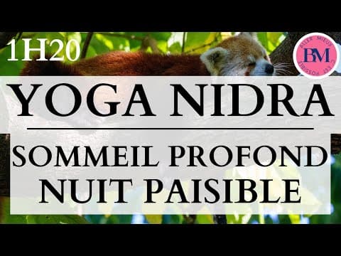 YOGA NIDRA SOMMEIL PROFOND et NUIT PAISIBLE (1H20 Méditation Guidée pour Dormir Profondément)